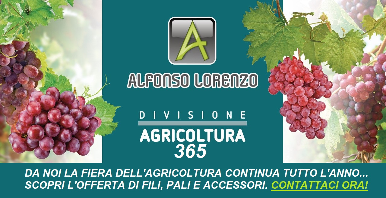 DIVISIONE AGRICOLTURA ALFONSO LORENZO