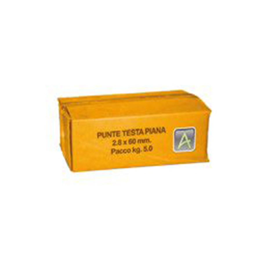 CHIODI IMPORT TESTA PIANA - immagine 2